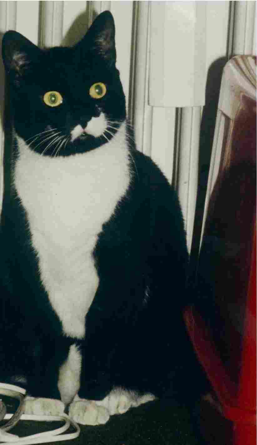 M�xchen mit ca. 2 Jahren